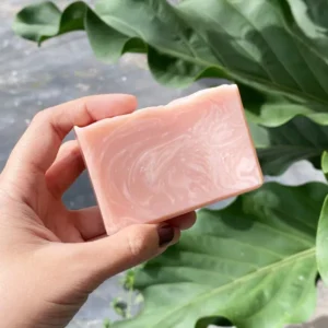 Strawberry Pomegranate Soap